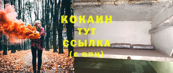 PSILOCYBIN Гусев