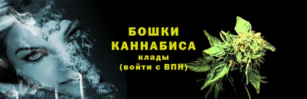 2c-b Гусь-Хрустальный