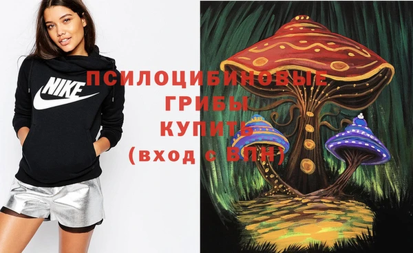2c-b Гусь-Хрустальный