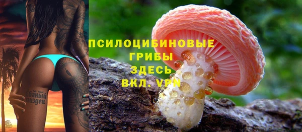 2c-b Гусь-Хрустальный