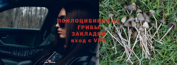 2c-b Гусь-Хрустальный
