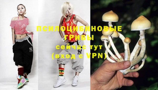 2c-b Гусь-Хрустальный