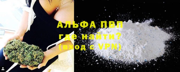 PSILOCYBIN Гусев