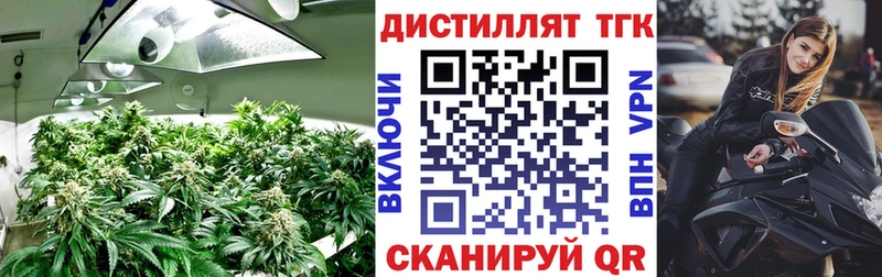 ТГК гашишное масло  Зеленогорск 