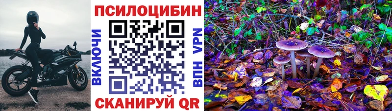 Псилоцибиновые грибы Psilocybine cubensis  Зеленогорск 