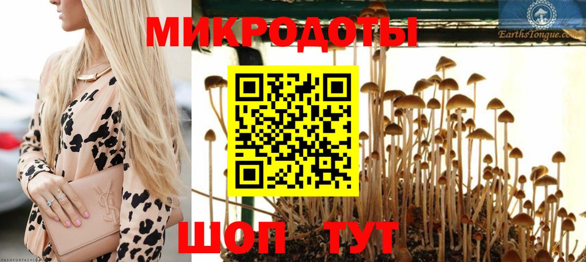 Зеленогорск  Галлюциногенные грибы Psilocybe  Вход с VPN  Псилоцибиновые грибы Psilocybine cubensis 