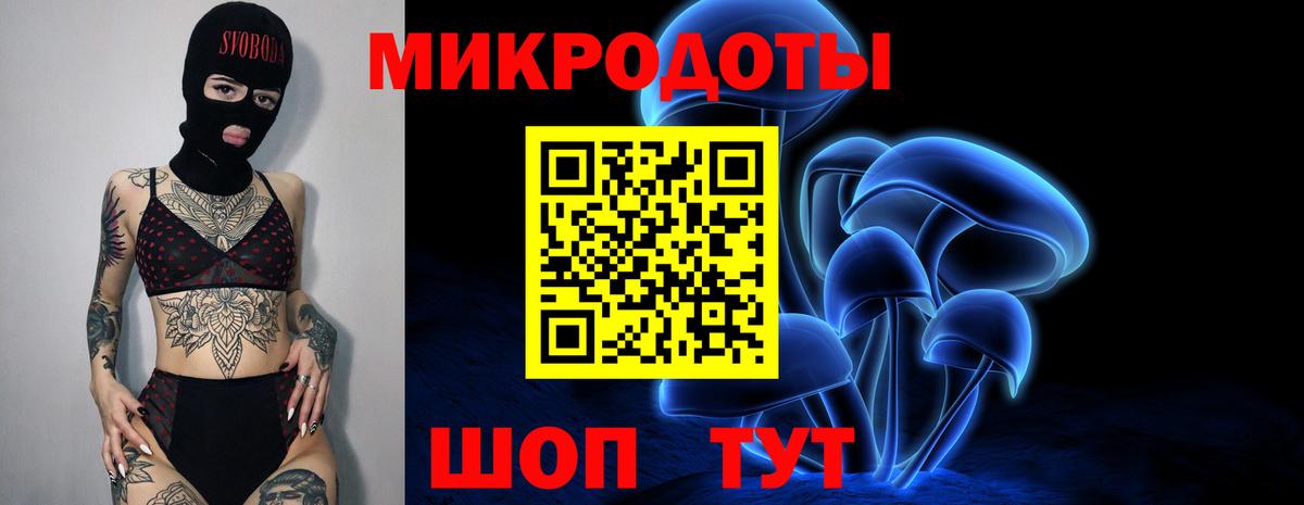 Псилоцибиновые грибы Psilocybine cubensis Зеленогорск