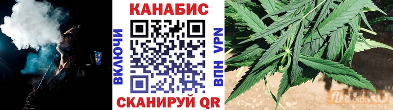 где найти   блэк спрут вход  Марихуана Amnesia  Зеленогорск 